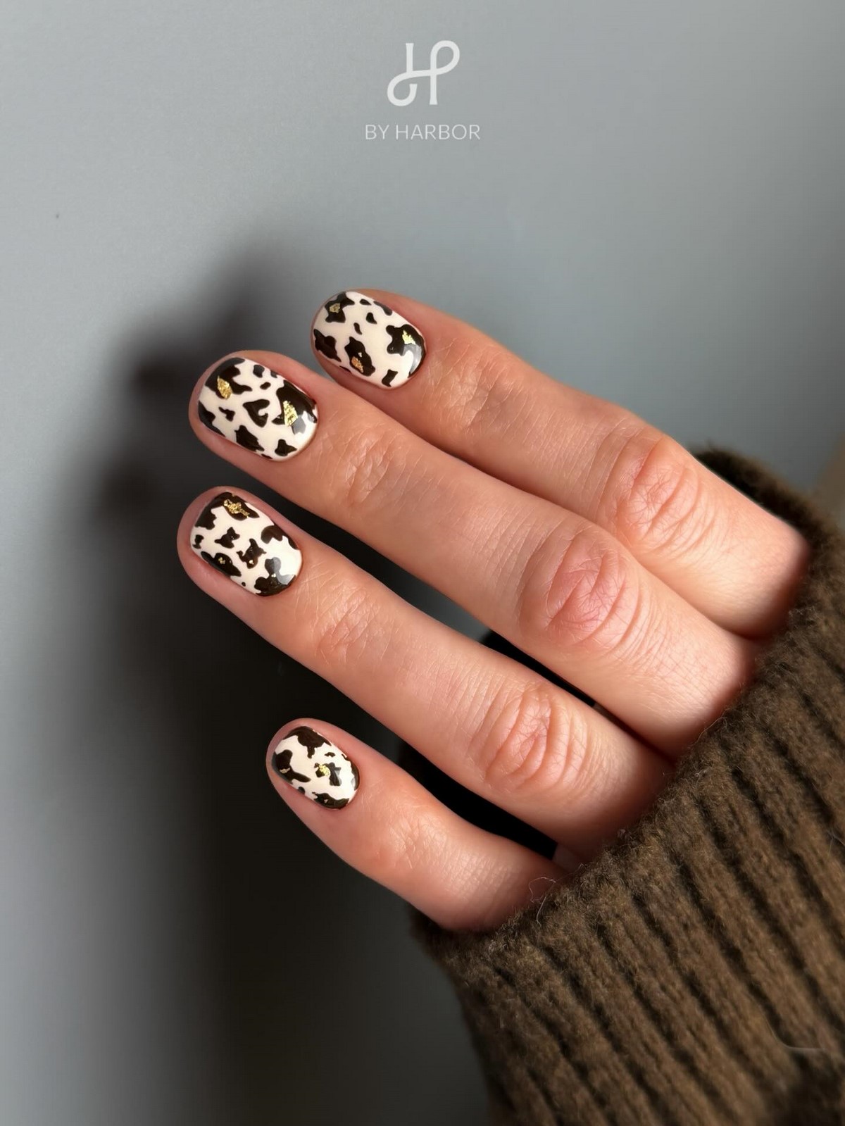 Квадрат в апреле 2026 стал мягче: новый формат привычной формы