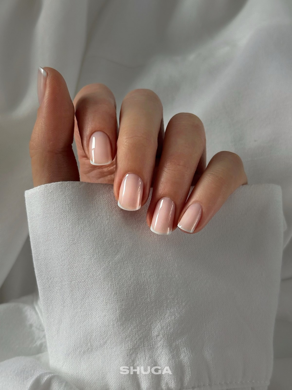 Квадрат в апреле 2026 стал мягче: новый формат привычной формы