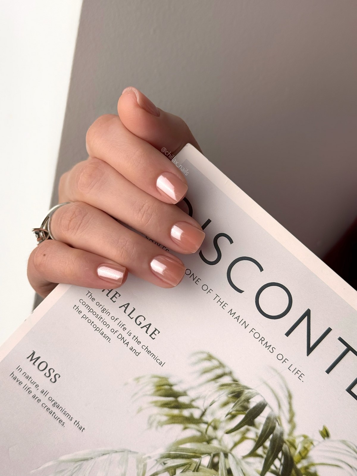 Квадрат в апреле 2026 стал мягче: новый формат привычной формы